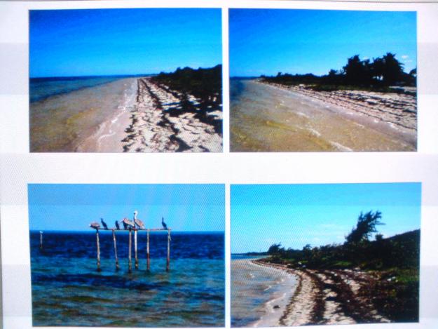 Vendo Terreno con Playa (294 hectareas) serca de Cancun Quintanaroo México.  ¡¡URGE!!