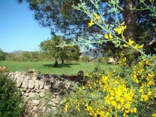 Solar/Parcela en venta en Artà, Mallorca (Balearic Islands)