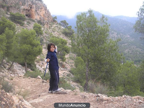 terreno en aledo sierra espuña