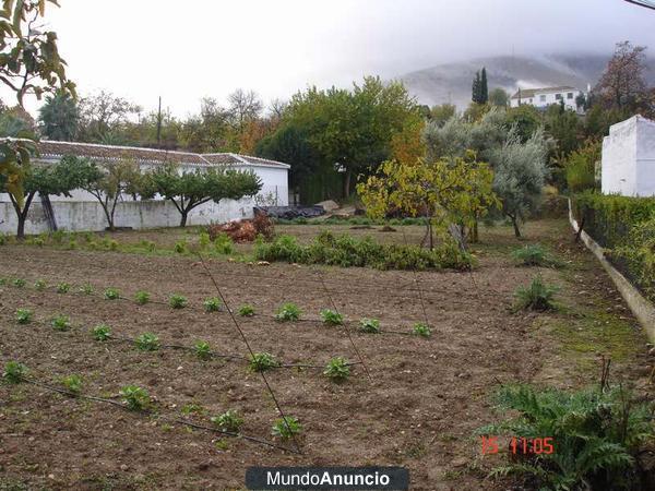 SE VENDE TERRENO EN LOJA(GRANADA) LLANO PIÑAR