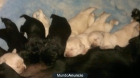 se venden labradores - mejor precio | unprecio.es
