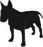 Adiestrador canino