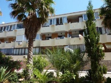 Apartamento con 1 dormitorio se vende en Mil Palmeras