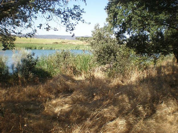 Finca rústica en Navalmoral de la Mata