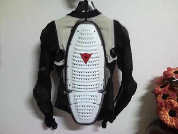 Dainese multisports shield