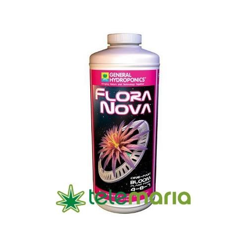 Flora Nova Bloom