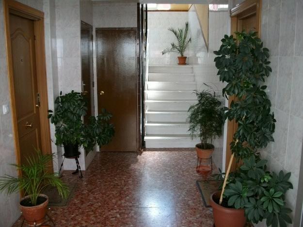 Piso en Algeciras