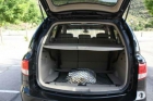 Ssang Yong kyron 270 XDI Limited - mejor precio | unprecio.es
