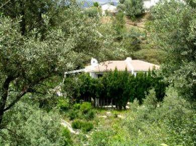 Chalet con 3 dormitorios se vende en Alcaucin, Axarquia