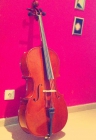 Violoncello alfred stingl 3/4 hofner - mejor precio | unprecio.es