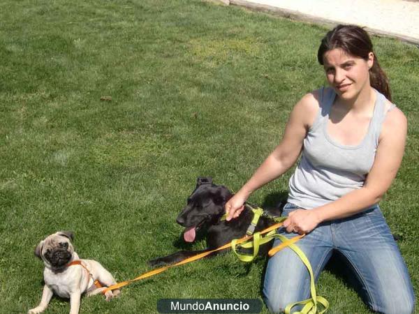 CANGURO DE MASCOTAS TODO EL AÑO, ESPECIAL VERANO Y VACACIONES!!!