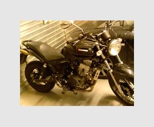CSR NKT1 NAKED