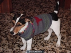 ME OFREZCO PARA MONTA ! - mejor precio | unprecio.es