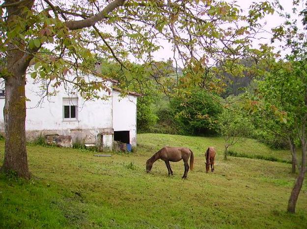 Casa en Cartes