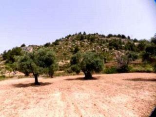 Finca/Casa Rural en venta en Valderrobres, Teruel