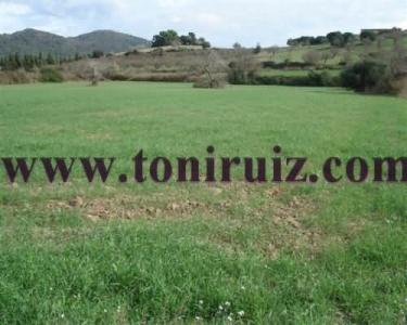 Comprar Finca rústica Sant Llorenç des Cardassar san lorenzo