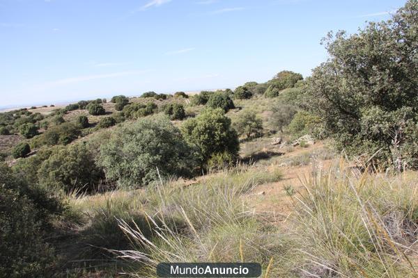 FINCA DE CAZA MAYOR .MONTES DE TOLEDO