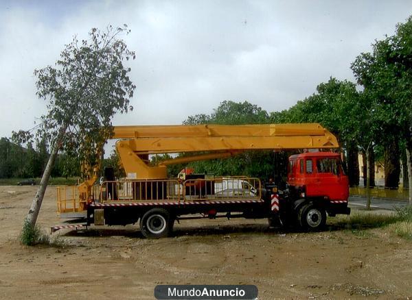 camion con brazo elevador