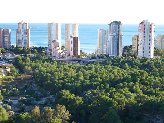 Piso en Benidorm