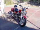 VENDO PRECIOSA MOTO Tipo Harley - mejor precio | unprecio.es