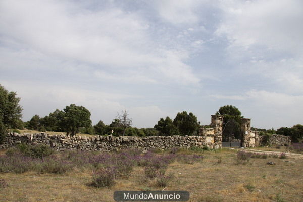 FINCA RUSTICA DE RECREO CON DOS CASAS NUEVAS  EN CANDELEDA -AVILA