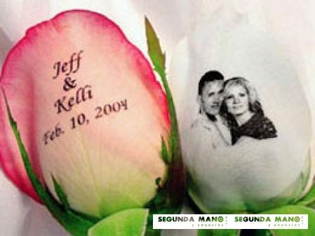 FOTOS ROSAS DECORADAS