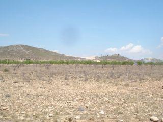 Solar/Parcela en venta en Jumilla, Murcia (Costa Cálida)