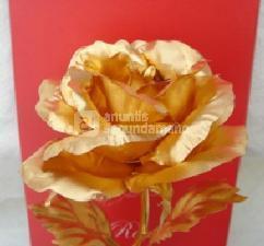 ROSA ORO 24 KILATES