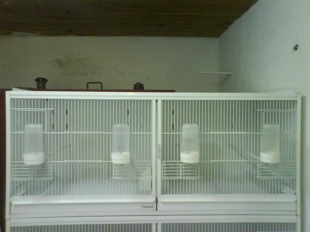 JAULAS