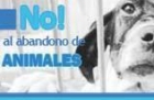Cachorros Pastor Alemán en adopción - mejor precio | unprecio.es