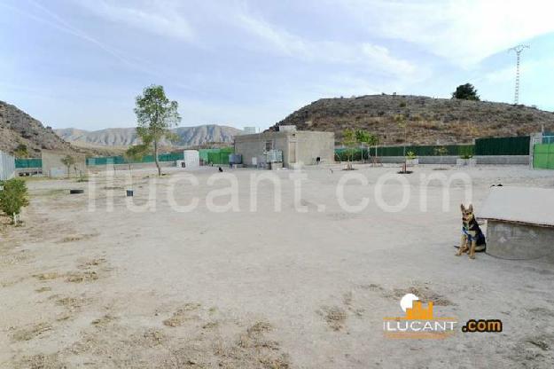 Casa en San Vicente del Raspeig/Sant Vicent del Raspeig