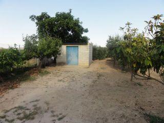 Finca/Casa Rural en venta en Cehegín, Murcia (Costa Cálida)