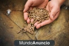 Venta de Pellets, hueso y briquetas cascara almendra 100% - mejor precio | unprecio.es