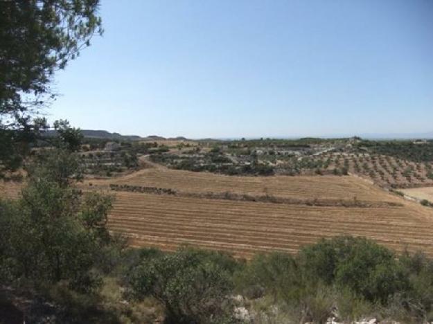 Finca rústica en Borges Blanques, Les