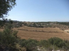 Finca rústica en Borges Blanques, Les - mejor precio | unprecio.es
