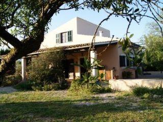 Finca/Casa Rural en venta en Binissalem, Mallorca (Balearic Islands)