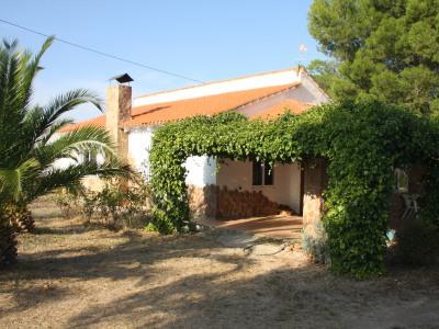 3b  , 2ba   in Ayora,  Valencia And Costa del Azahar   - 207000  EUR