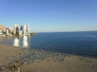 Apartamento en Benidorm - mejor precio | unprecio.es
