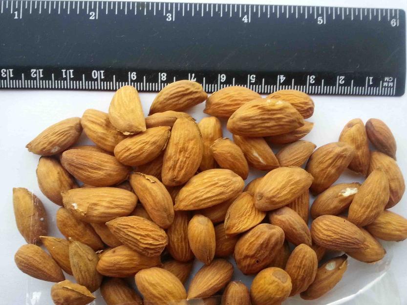 almendras, azúcar y harina