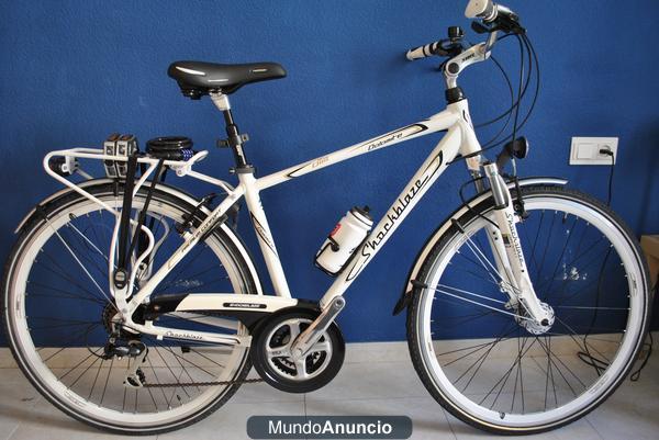 Bicicleta trecking