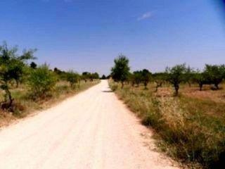 Finca/Casa Rural en venta en Cretas, Teruel