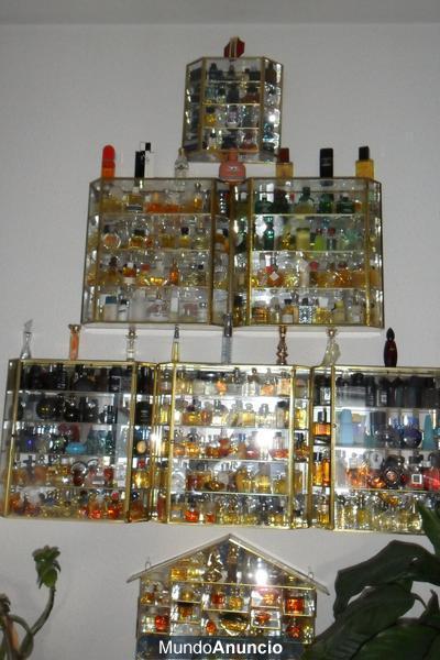 Se vende colección de miniaturas de perfumes