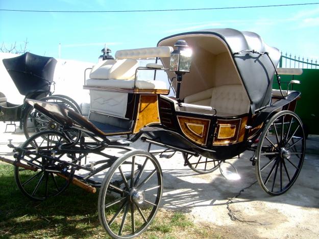 Alquiler de coche de caballos tlf 609730402 calidad,profesionalidad y buen precio toda and