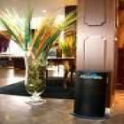 AMBIENTADOR NATURAL PARA CASAS O GRANDES SUPERFICIES - mejor precio | unprecio.es