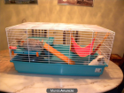 Chinchillas - mejor precio | unprecio.es