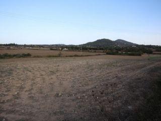 Terreno/Finca Rstica en venta en Manacor, Mallorca (Balearic Islands)