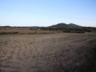 Terreno/Finca Rstica en venta en Manacor, Mallorca (Balearic Islands) - mejor precio | unprecio.es