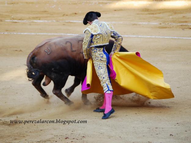 Toros entradas feria olivenza 2010