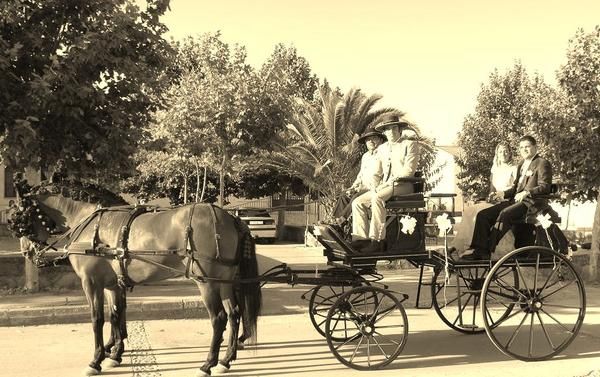 ALQUILER COCHE DE CABALLOS PARA BODAS