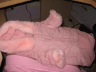 abrigo para perros rosa invierno talla M - mejor precio | unprecio.es